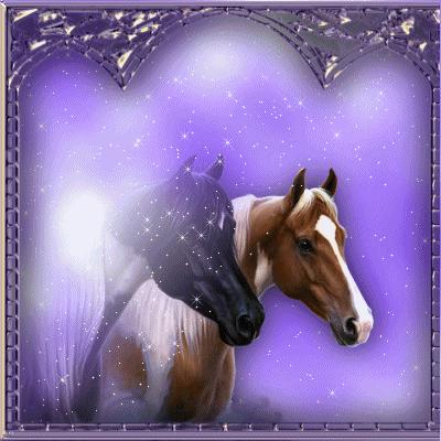 les chevaux